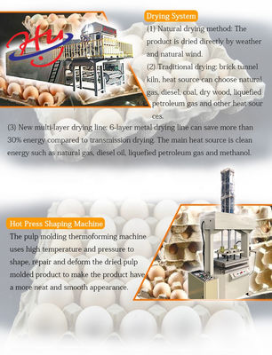 Produzione di attrezzature di Tray Moulding Machine Paper Plate dell'uovo