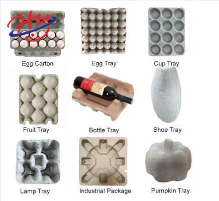 Attrezzatura di produzione del contenitore di alimento di Tray Egg Plate Thermocol Foam dell'uovo