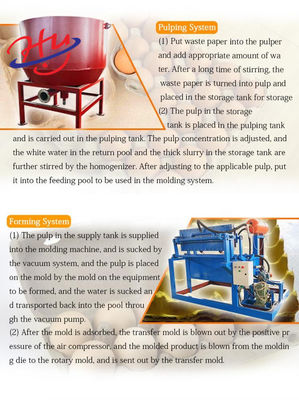 Bottiglia Tray Production Line del sistema del modanatura di Tray Making Machine Paper Pulp dell'uovo 7000PCS/H