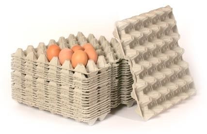 Macchina per fabbricare le scatole di cartone dell'uovo del modanatura della polpa 7000pcs/H