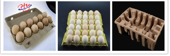 Macchina per fabbricare le scatole di cartone di Tray Making Machine Molding Egg della frutta della cartapesta